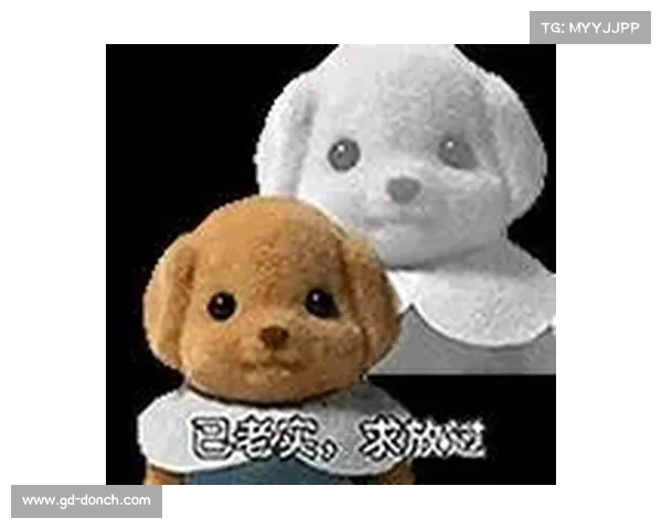 探索森贝儿系列11-11表情包背后的幽默与创意世界